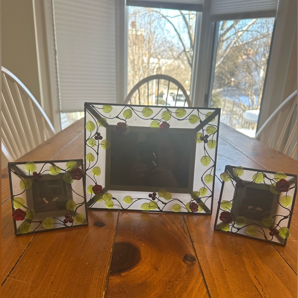 Elegant Frosted Glass Photo Frame Set with Leaf and Berry Design